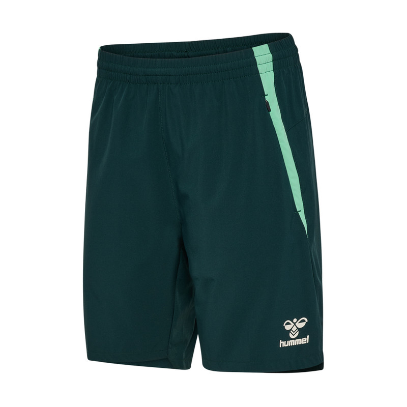 Hummel Training Shorts