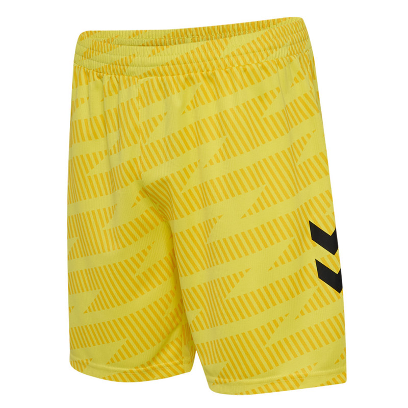 Hummel SV Werder Bremen Training & Performance Wear — Gelb