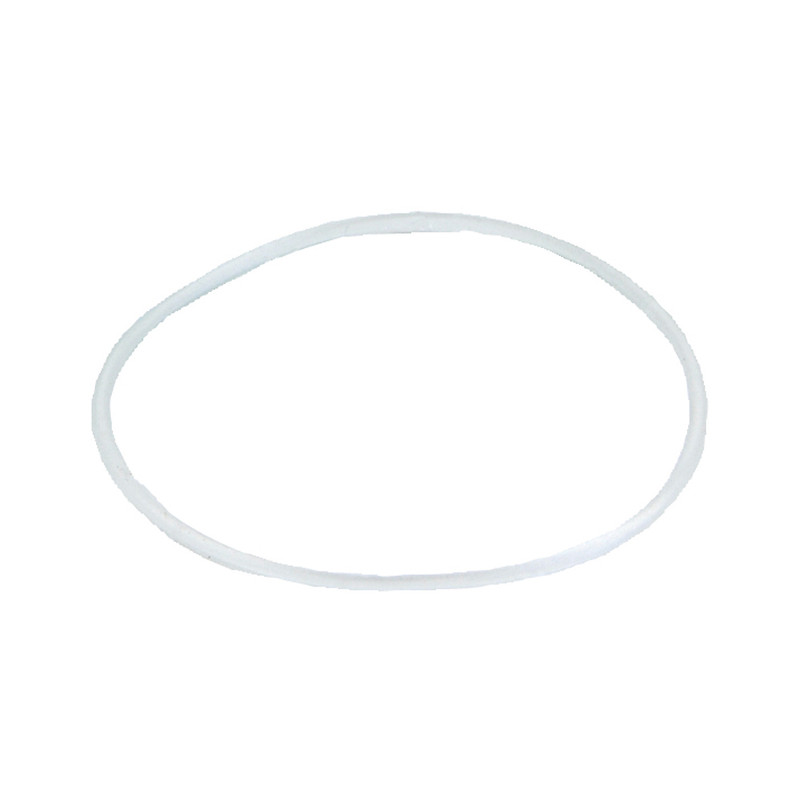 Werder Bremen ISYbe Sealing Ring