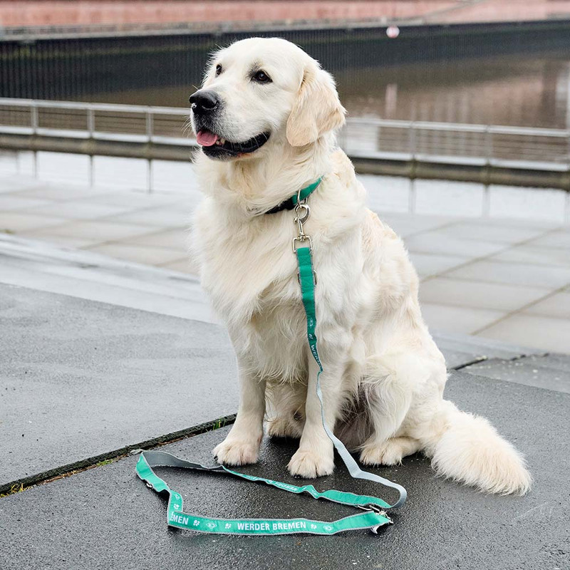 Werder Bremen Adjustable Dog Leash — For Large Dogs