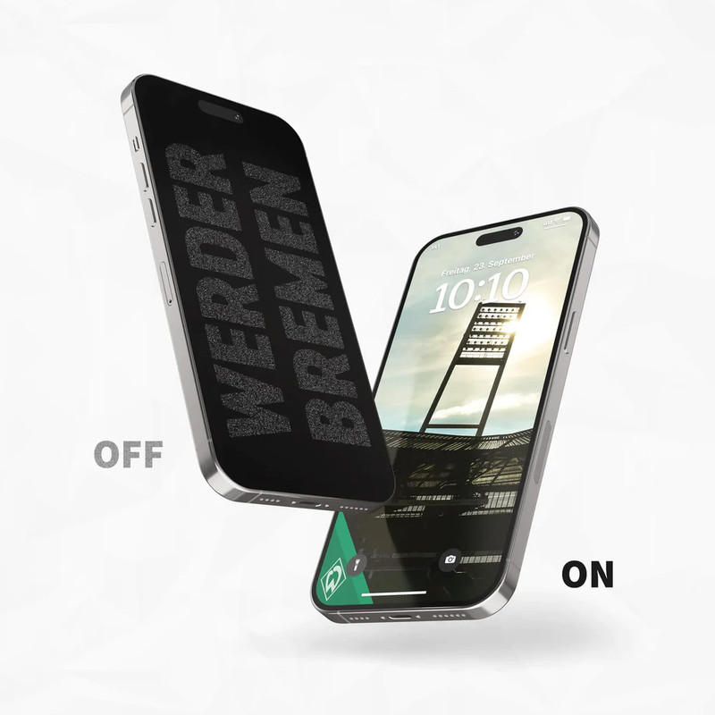 Displayschutzfolie WB